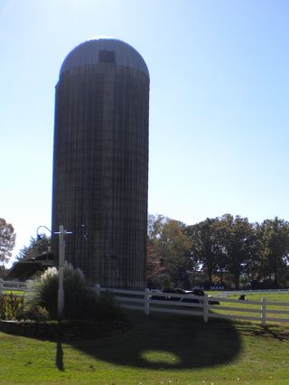 DSCN1568